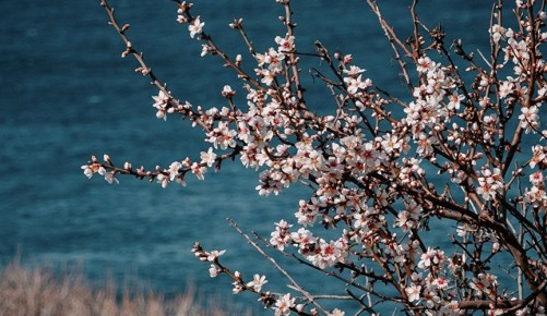 ��� ��� ��������: ��� � ����� ������ ����� � ����� �� ���� �����