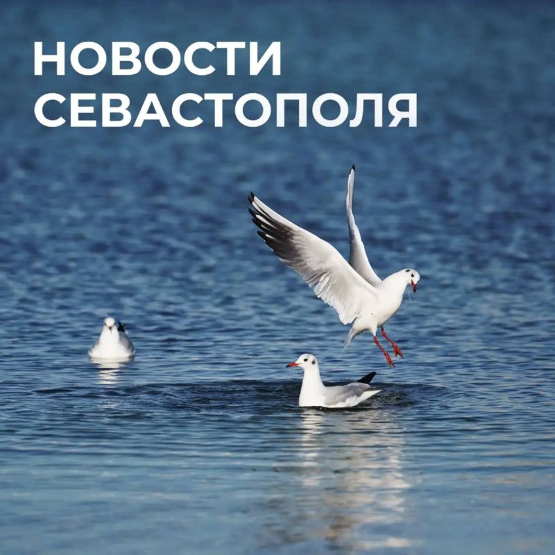 ������ ���������: ������� � �������:. ���� �����: ��������� � ���������� ����������� ����������� �������� ������������� ����������� ������ ����� �� �����