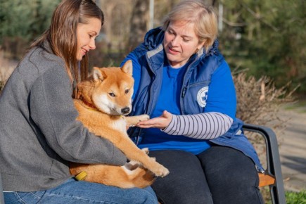 ���������� ���������� �� ����� �� ��������� ��������� ������