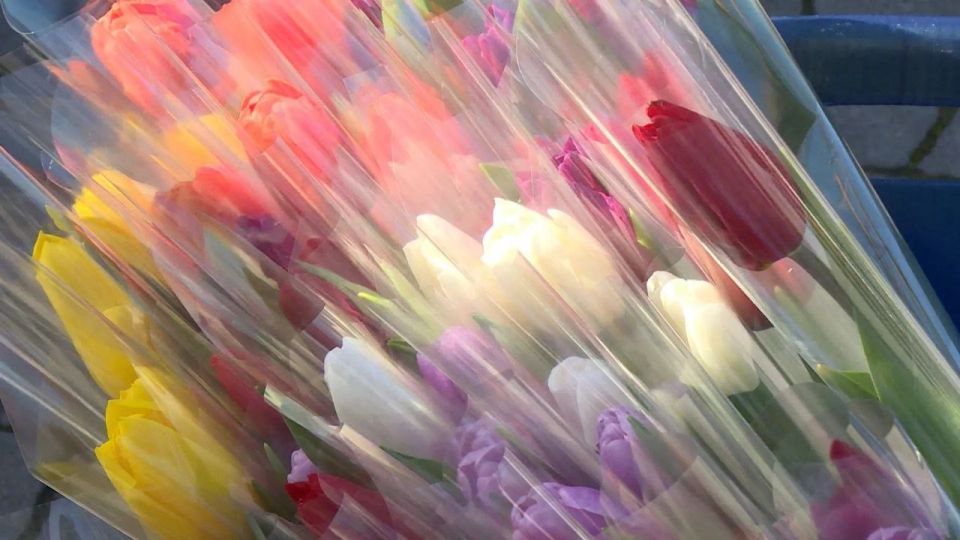 Праздничный киномарафон «Вам, любимые!» пройдёт в Севастополе