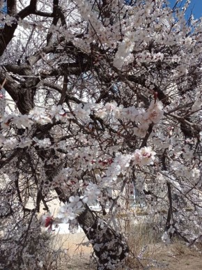 ����� ������ �������� � ����������