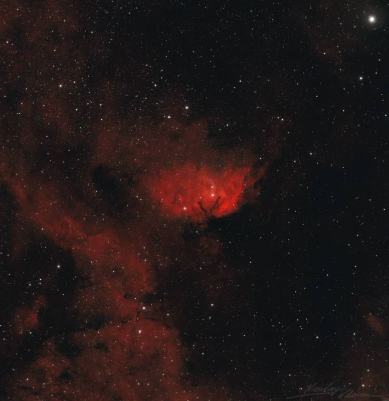 Вселенная дарит букеты своим самым прекрасным созданиям