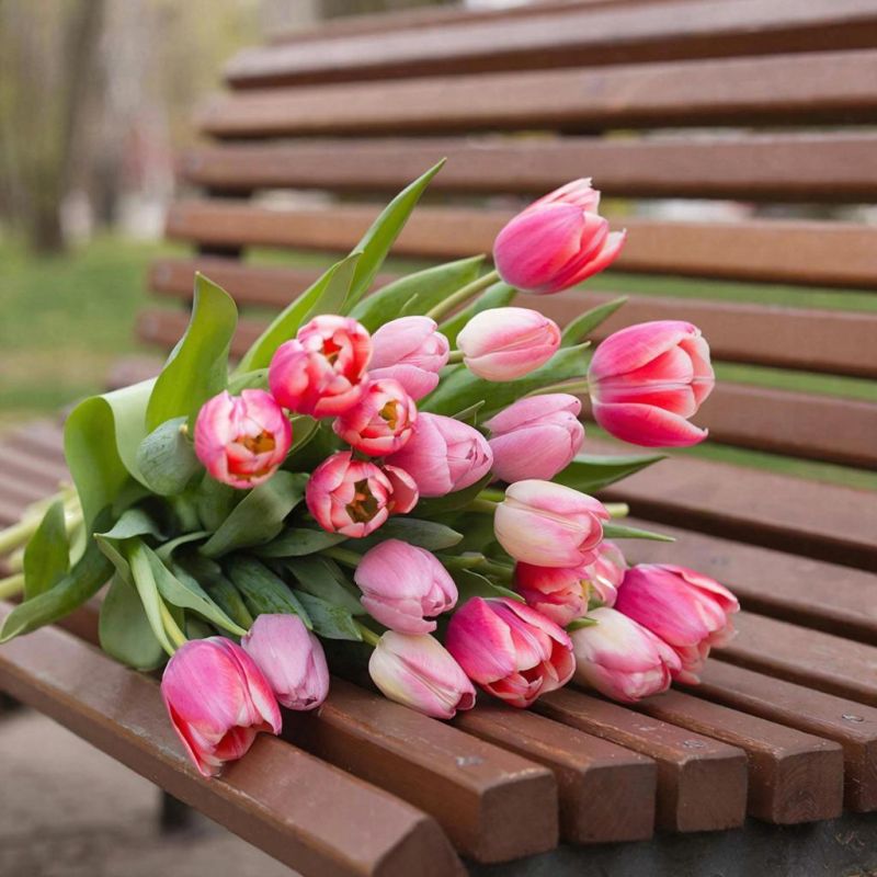 Прогноз погоды в Крыму на 8 марта