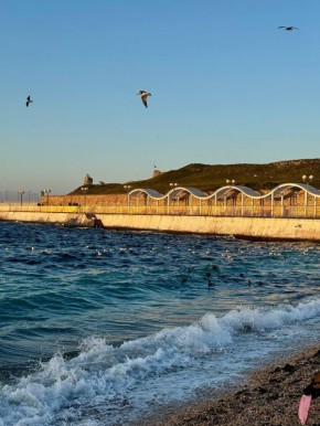 ������ �� 9 �����: