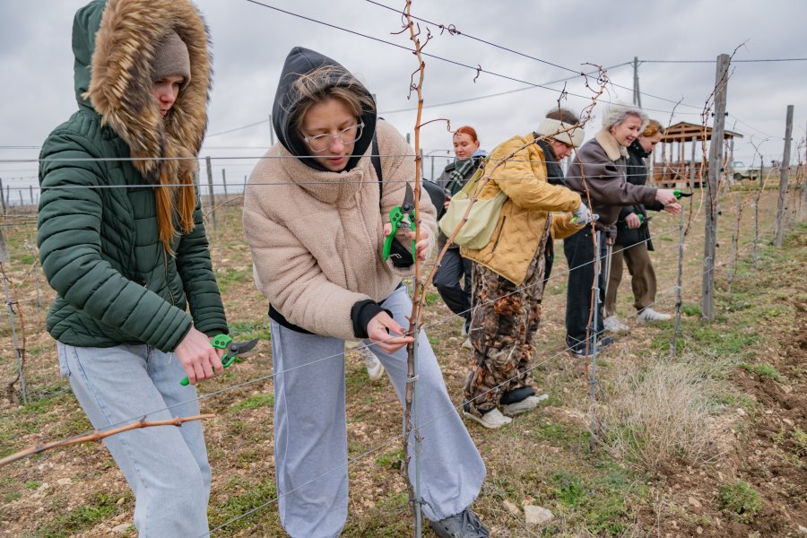 70% виноградарских предприятий Севастополя обеспечены специалистами из выпускников СевГУ