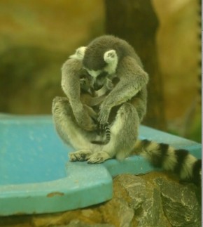 ��������� ������� �������� � ������������� ��������