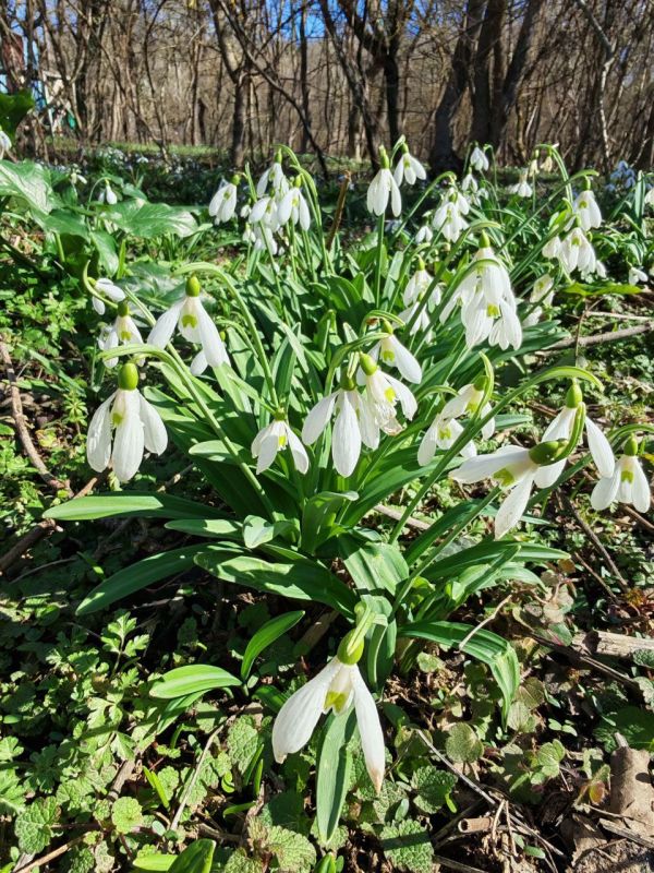 ������� ���� ���� ����� ������� ���������