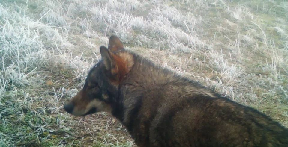 ����� � �����: ���������� ��� ����������?