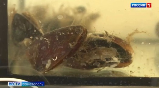 � ����������� ������� ���������� ��������� ��� �������� ������������ ���������