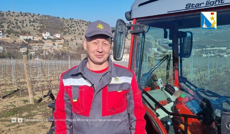 � ����������� ����������� �������� ����� ������ ����� �������