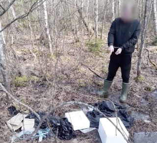 ��� ��������� �� ������������ ������� ������, ����������� ������ �������