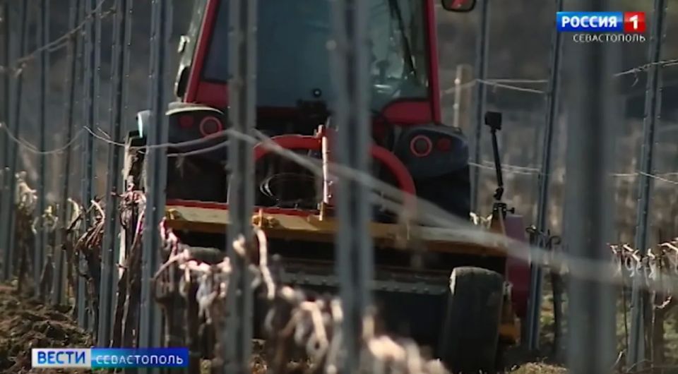 ��� � ����������� ������� ������������-����������