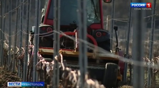 ��� � ����������� ������� ������������-����������