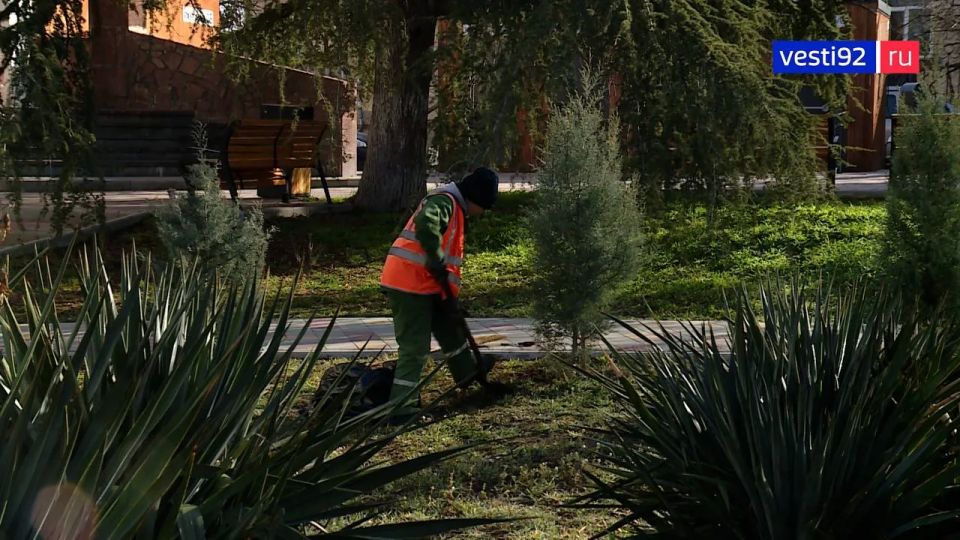 � ����������� ������ �������� ���� �� ������� ������