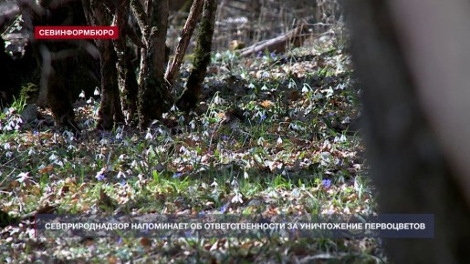 ��������������� ���������� �� ��������������� �� ����������� �����������