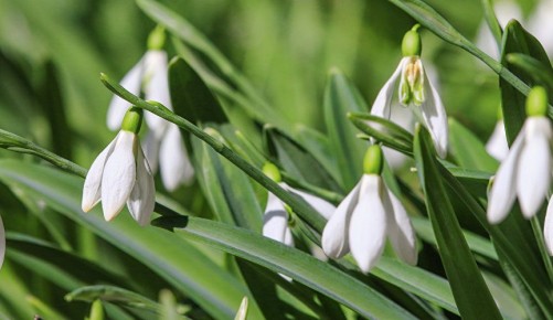 ����� � ����� �������� �������: ����� ����� ������ ��������