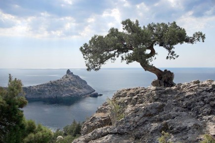 ����� ���������������������� ����������� �������� � �����������