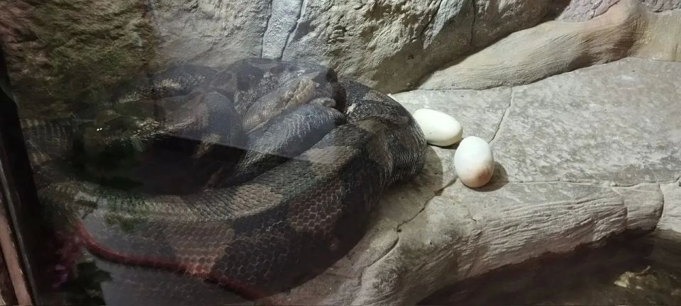 � ��������� �������������� � ����������: ����� �������� ������� �������� ����