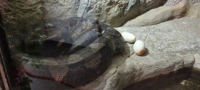 � ��������� �������������� � ����������: ����� �������� ������� �������� ����