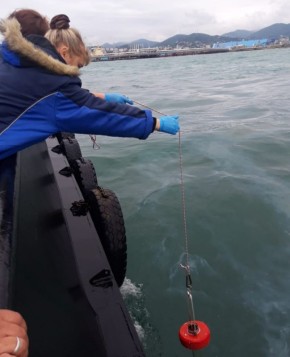 �� ���������� � ���� �������� �������� 114,7 ��� ������