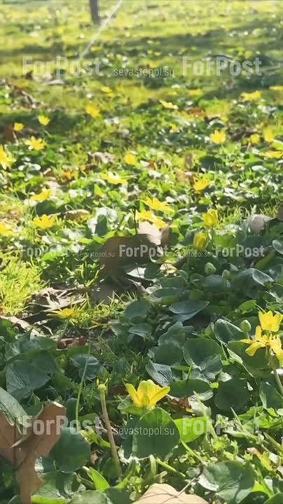 �������� � ����������� ����� ��-��������� �������