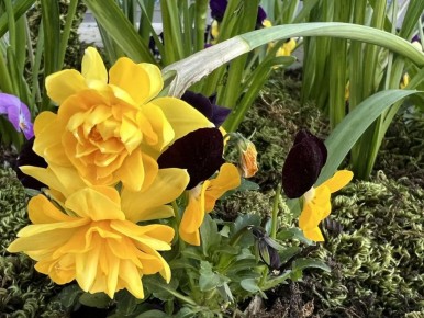 ������� ���������� ����!. 13 ����� � ����������� ��� �������