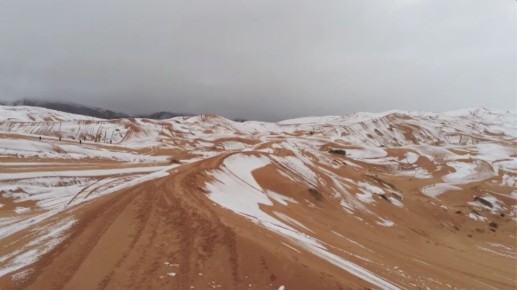 � ������� ������ ����� ���� � ������� ��� �� 40 ���