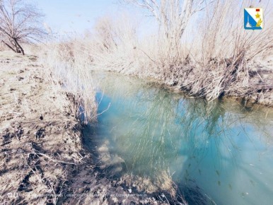 ���� ������. ������� ����������������, ������ � �������������� �������� �������