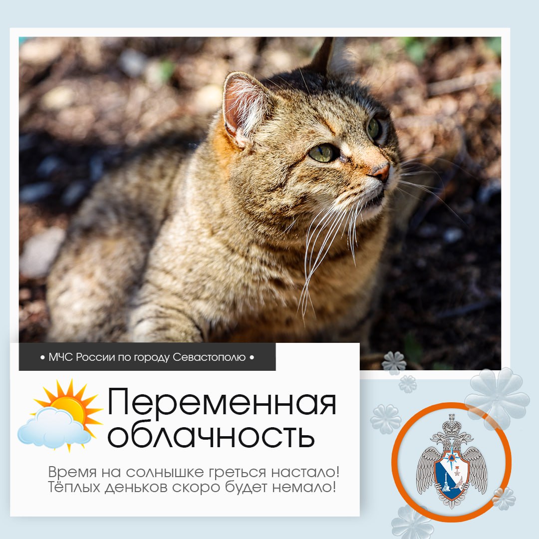 Доброе утро, Севастополь!. По данным гидрометцентра, 14 марта в Севастополе будет переменная облачность