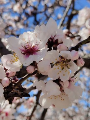 ������� ���������� ����, �������������!