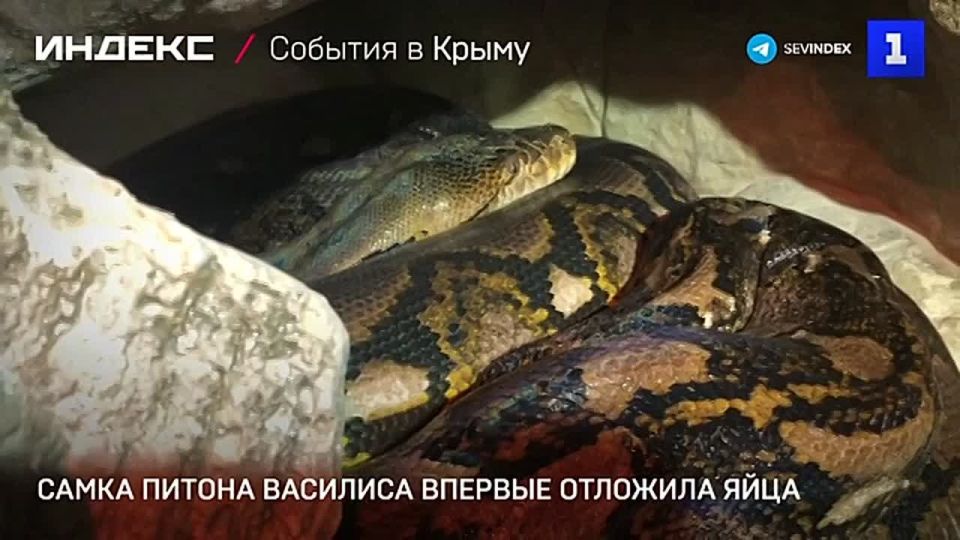 � ��������� �������������� ����� ��������� ������ �� ������ �������� ������� �������� ����