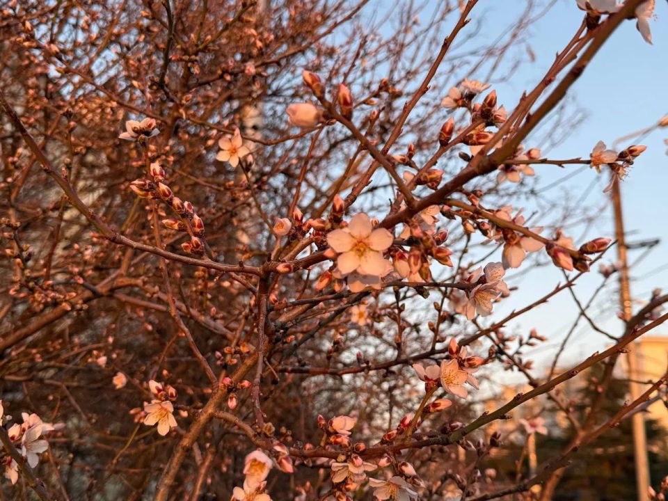 �� ������� � �� ������ �� ����������� ��������� ���������� �������������� � ��������������� ������