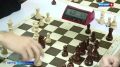 В Севастополе проходит турнир по быстрым шахматам