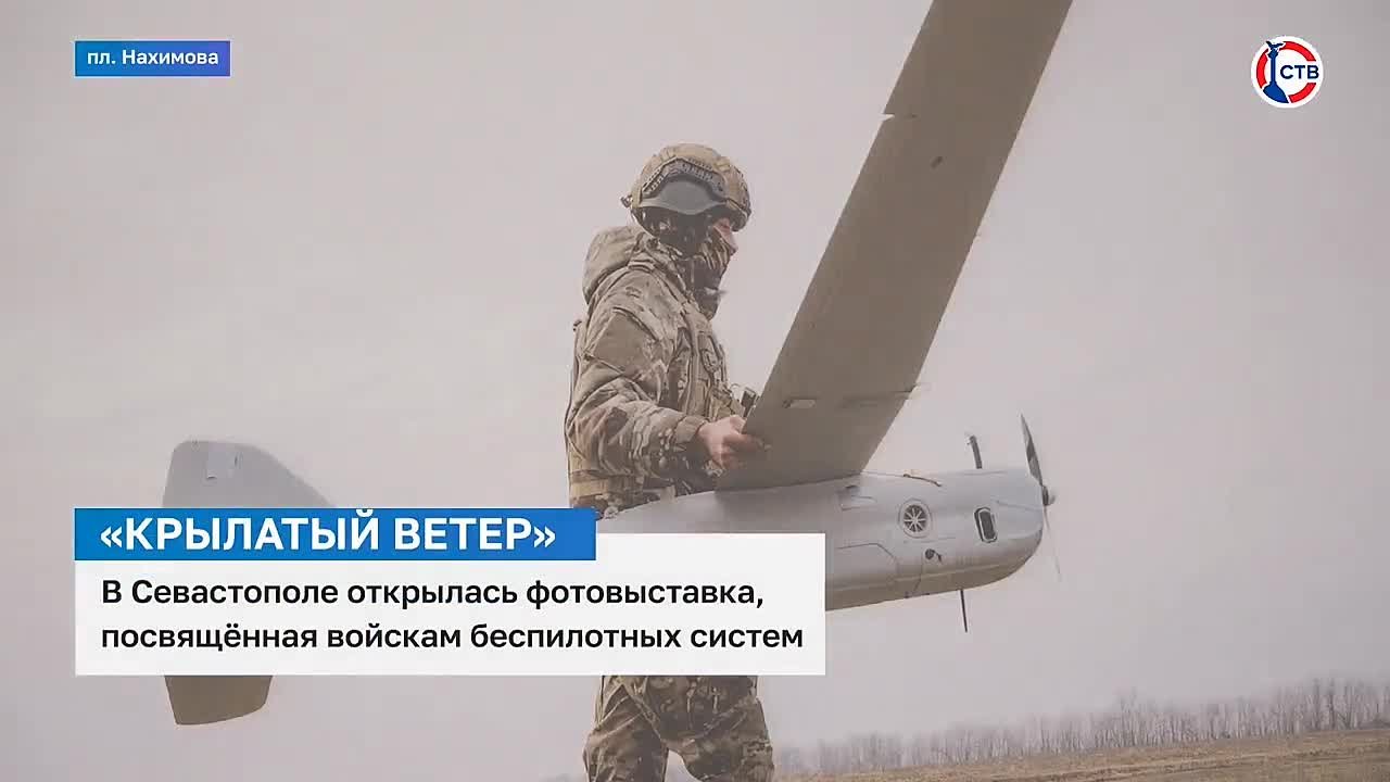 Выбираем сюжет недели на СТВ!