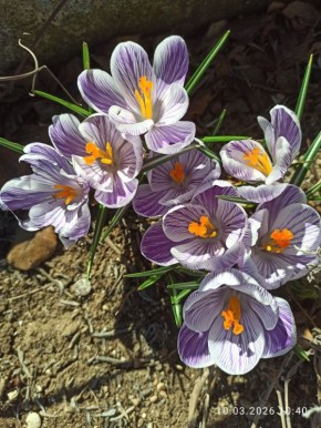 С добрым воскресным утром. 15 марта в Севастополе без осадков