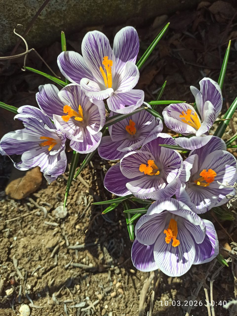 С добрым воскресным утром. 15 марта в Севастополе без осадков