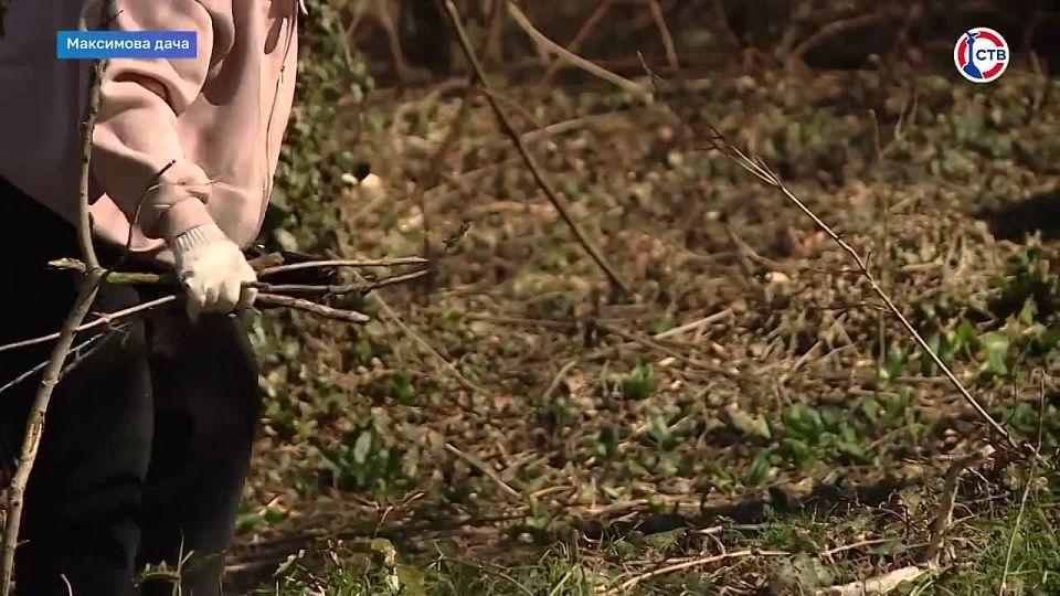 �� ����������� ���� ������ ������������� �����