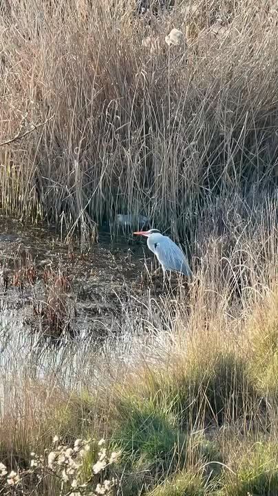 ����������� ����� �� ��������� �������� � ������ ��������� ������� ������ ���� ������ ������ ������� ������