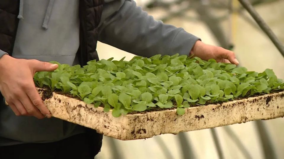 ������ ������ ������� � ����������� ���� � ���