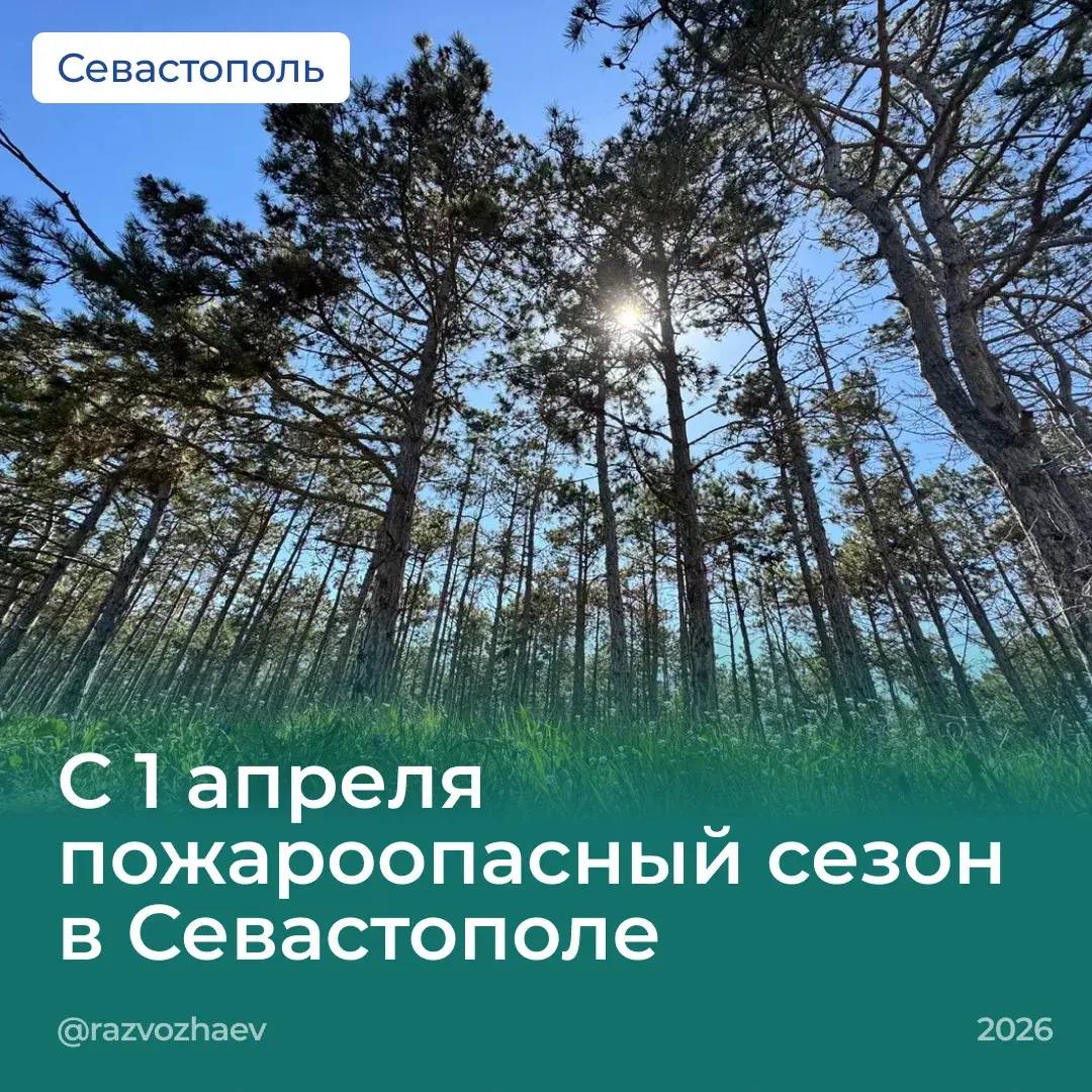 Михаил Развожаев: 1 апреля в Севастополе начнётся пожароопасный сезон