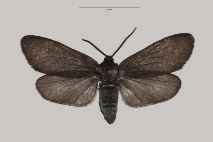 ���������� ����� ��� ������ ��� ������� ����� ������ �� �����