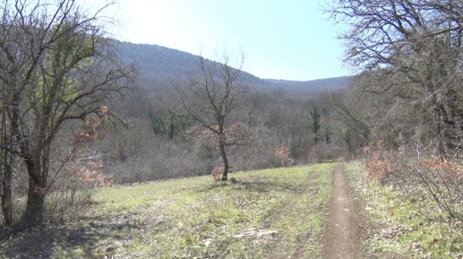 � 1 ������ � ����������� � ������������� �����