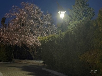 �������: ������ ��������� � ���������� �������� ��������� ��������� ������ ����������� �� ������� ������: