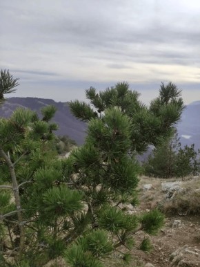 � 1 ������ � ����������� ���������� ������������� �����, ������� ��������� �� ������� ��� ��������� �����