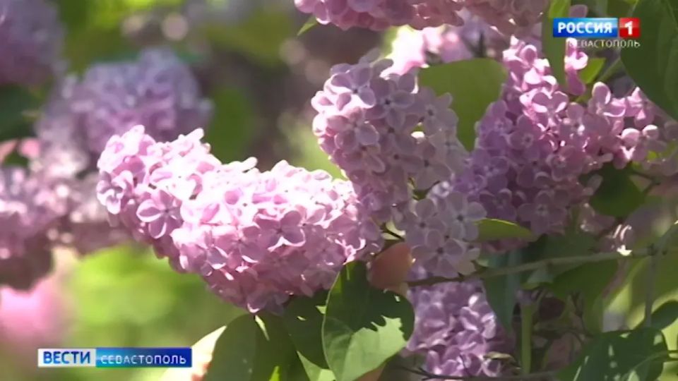 � ����������� ������� ������ � ������ � �������� ������