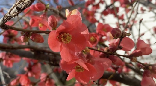 ����� �������� �����: ����������� ������ � ���������� ������� ��������