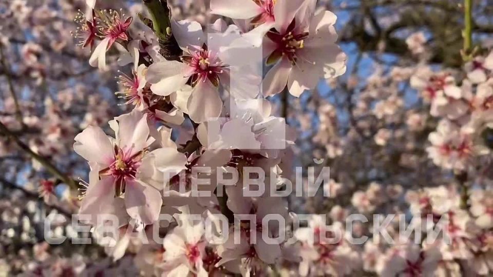 � ����������� ��������� ����� �������� �����: ����� ������ ����������� � ���������� ��������