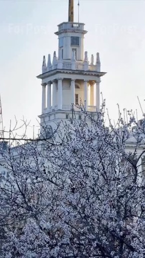 �� ���� ������ ������ ������� �������������� ��������� �������� ������� ������ �����