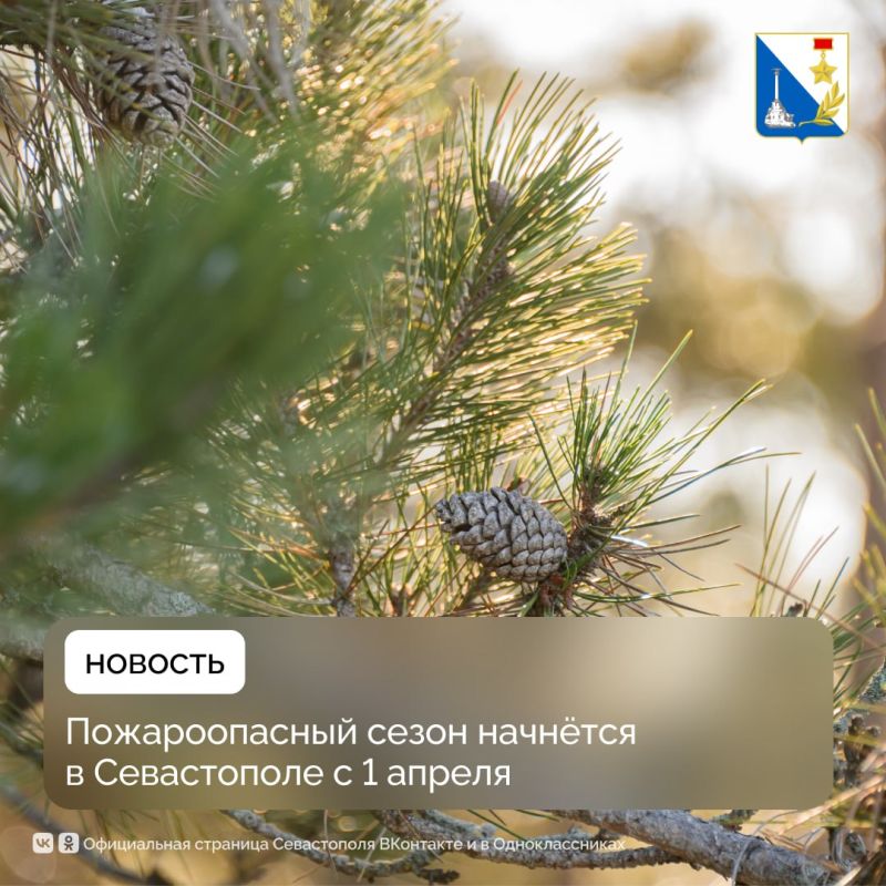 � 1 ������ � ����������� �������� ������������� �����