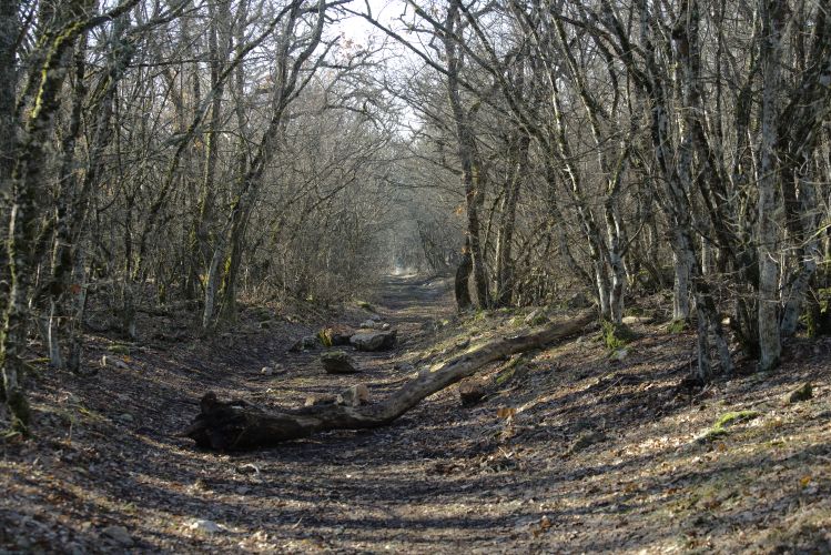 � 1 ������ � ����������� ���������� ������������� �����